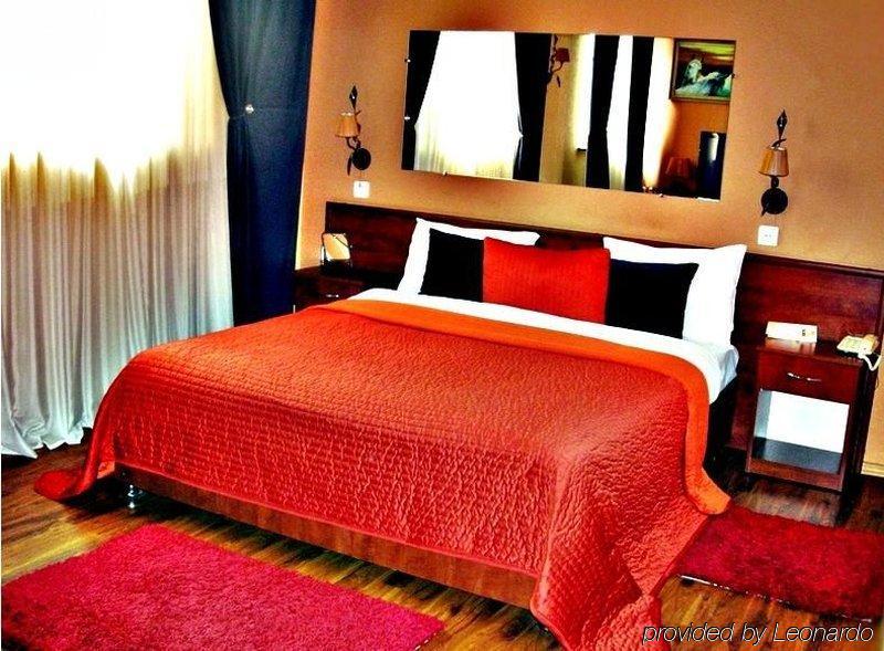 Art-Rustic Boutique Hotel Chisinau Rom bilde